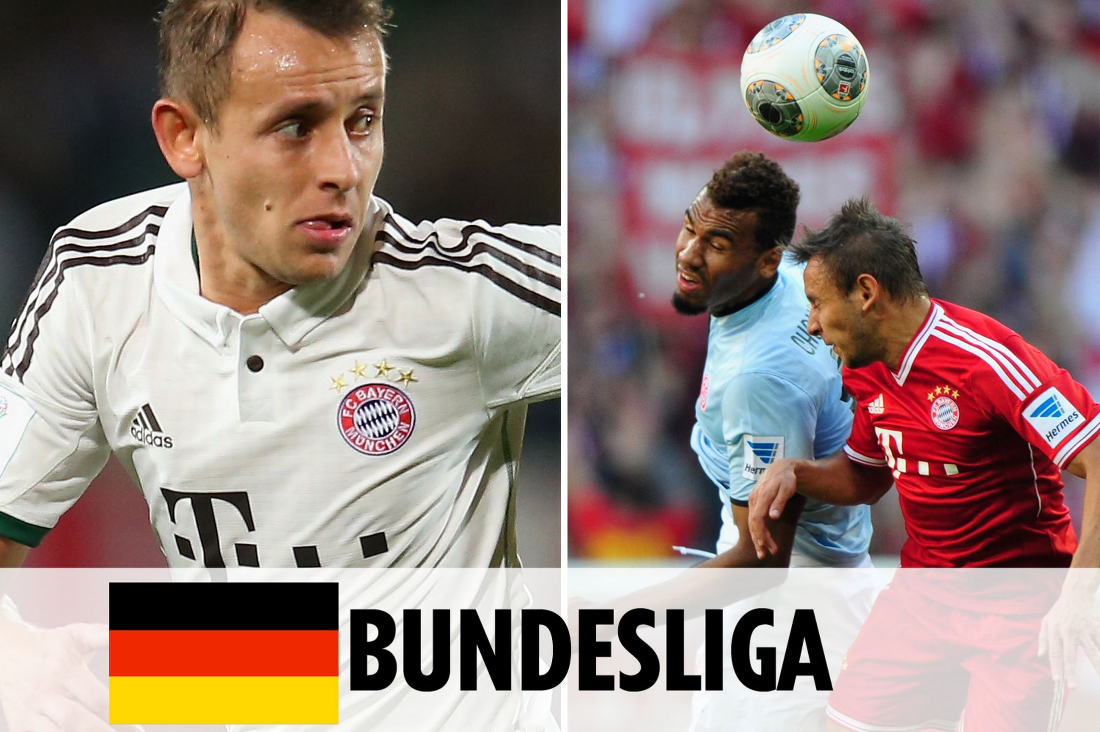 这位荷兰国 这位荷兰国