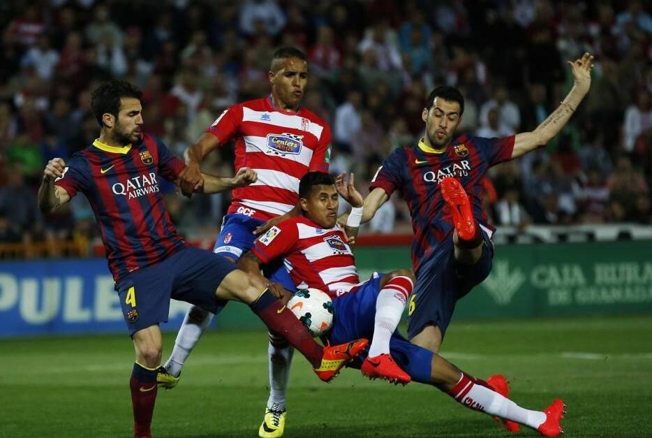 这一特质在 这一特质在